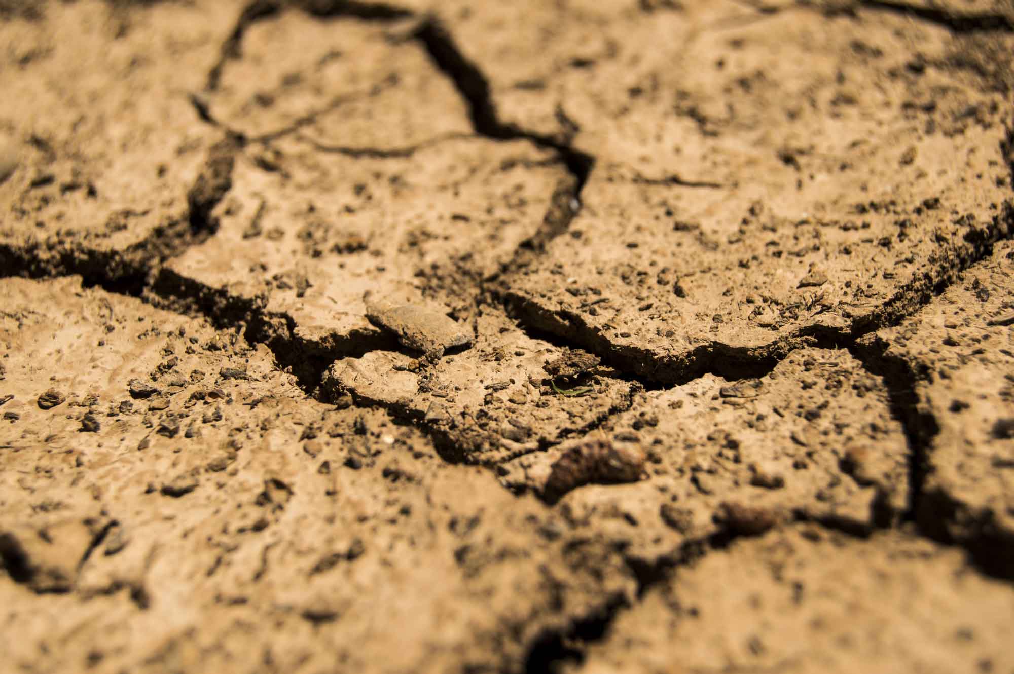 Close-up of dried, cracked earth.